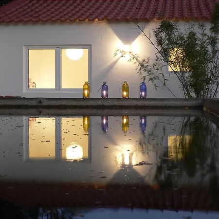 Casa Do Hibisco Сан-Жуан-ду-Эшторил