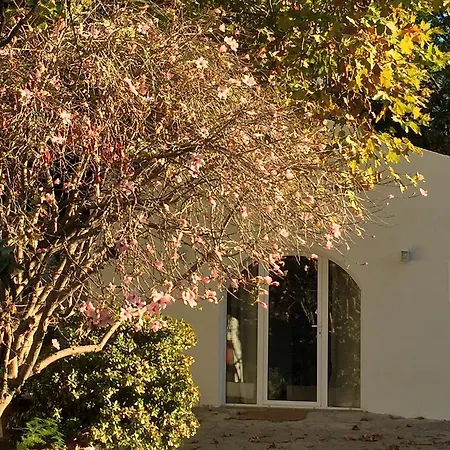 Casa Do Hibisco Дом отдыха *