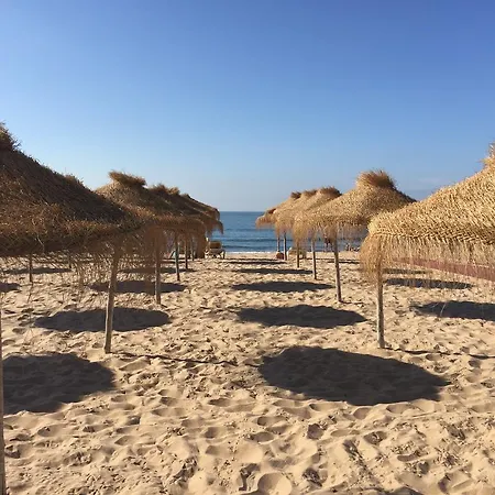 Casa Do Hibisco Дом отдыха Сан-Жуан-ду-Эшторил