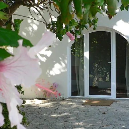 Casa Do Hibisco Сан-Жуан-ду-Эшторил